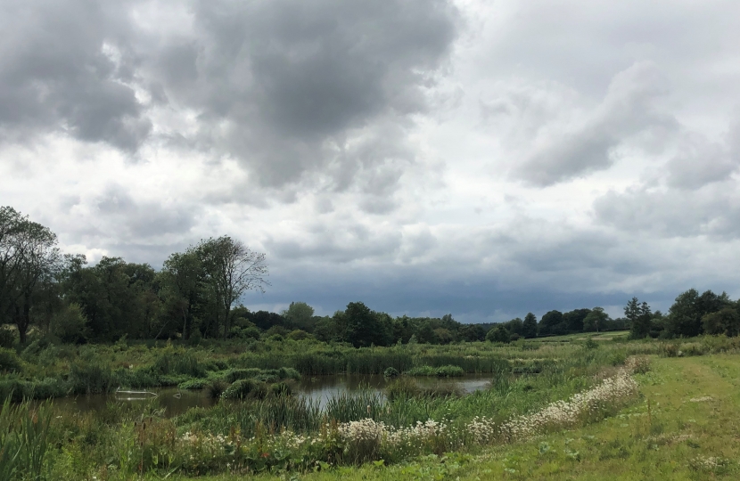 Wetland project