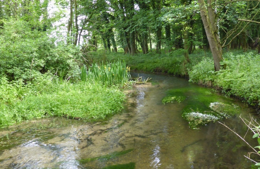 Norfolk Rivers Trust image of River Babingley