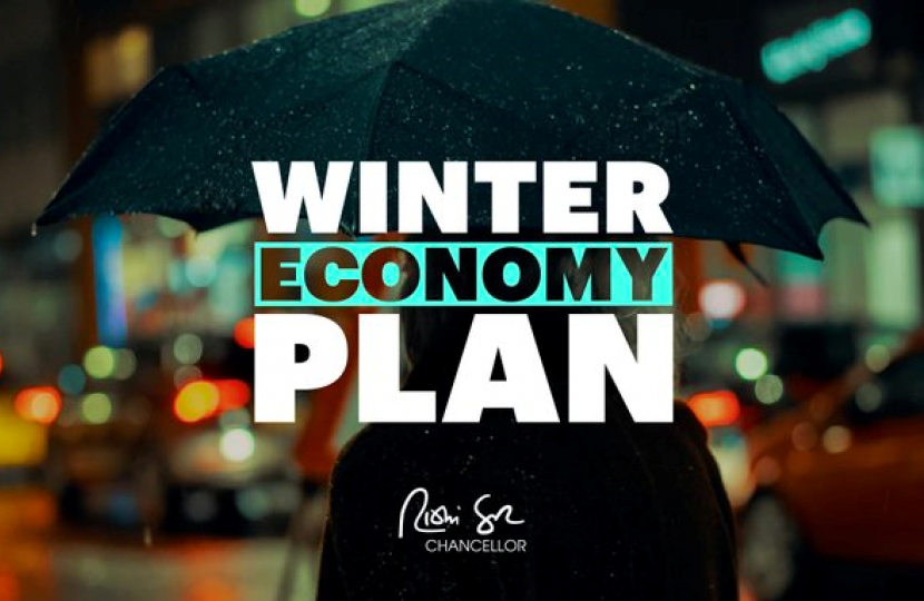 winter economy plan sunak chancellor james wild mp