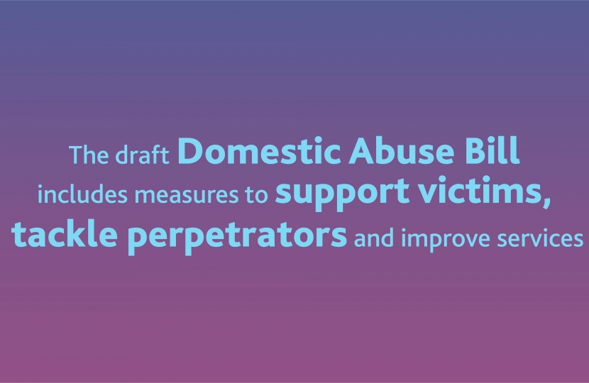 james wild mp domestic abuse bill