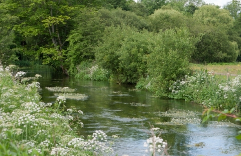 chalk stream norfolk James Wild mp