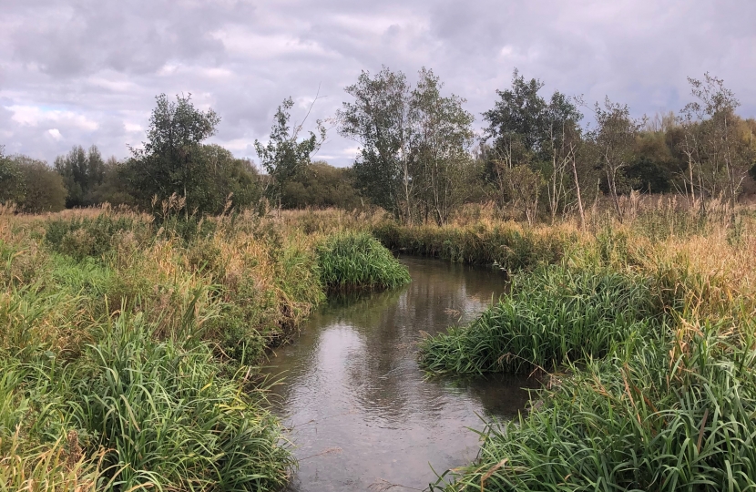 River Nar restoration project