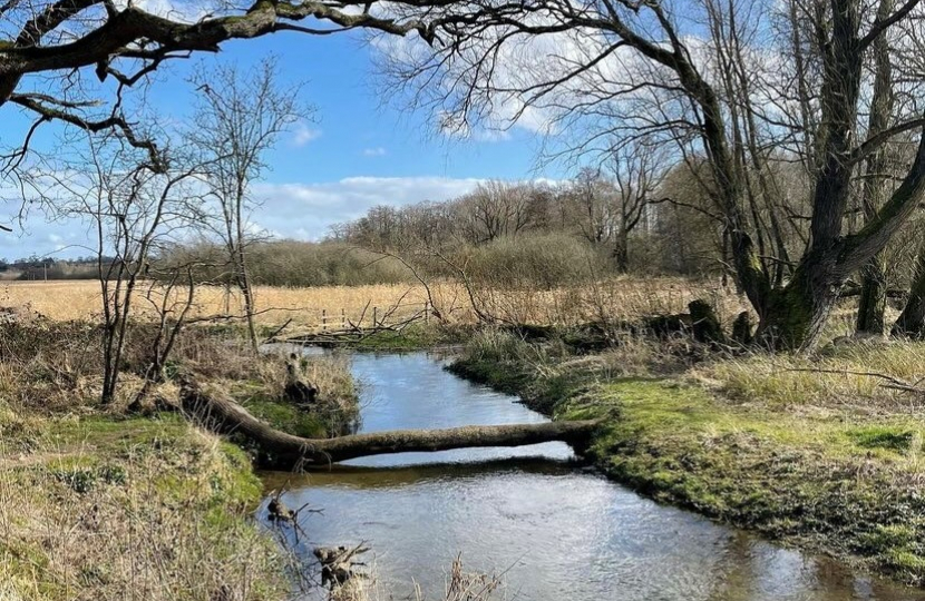 Chalk streams