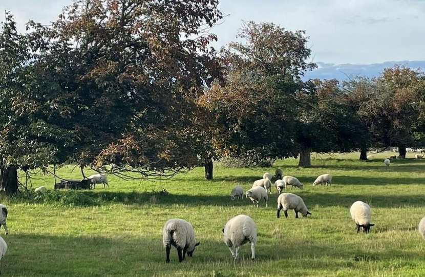 Rural Norfolk