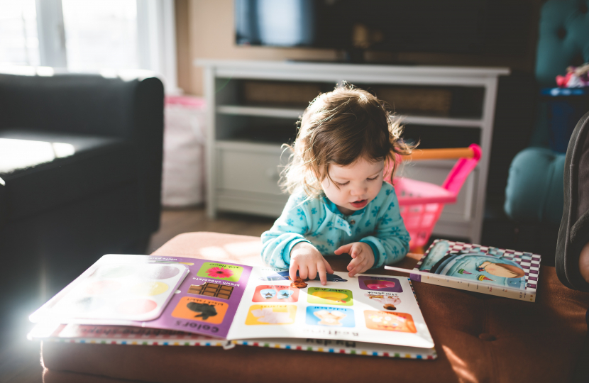 toddler family hubs James wild mp norfolk