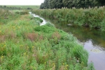 chalk stream james wild mp north west norfolk