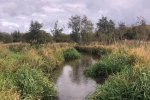 River Nar restoration project