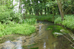 River Babingley