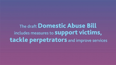 james wild mp domestic abuse bill