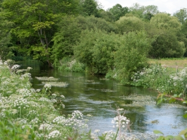 chalk stream norfolk James Wild mp