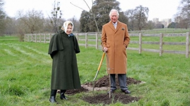 james wild mp queen tree canopy planting