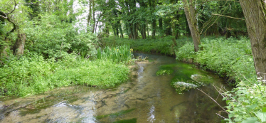 River Babingley