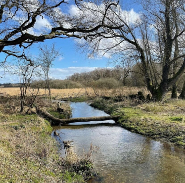 Chalk streams