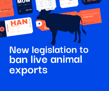 ban live exports